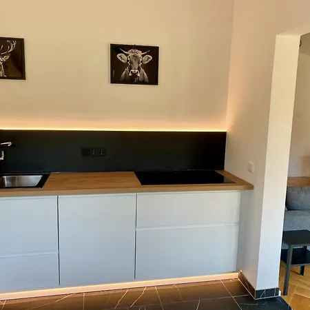 Apartment Bergelemente - Gmundberg