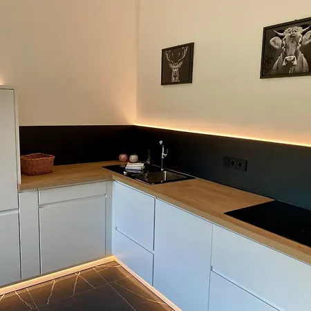 Apartment Bergelemente - Gmundberg *